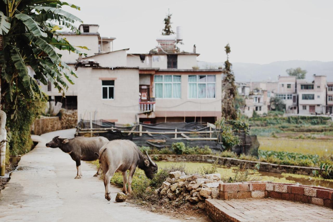 The Twelve Manor•Terraces Lodge Юанянг Екстериор снимка